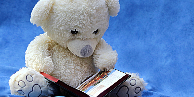 Teddy mit Buch